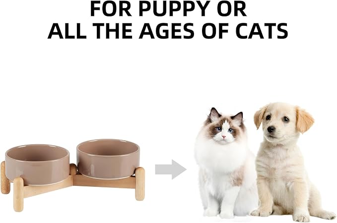 Havniva Elevated Dog Bowls Ceramic Dog Bowls with Stand, Dog Food Bowl | 5.1” Raised Dog Bowls with Non-Slip Wood Stand, Dog Food and Water Bowl Set, Double Dog Feeding Bowls for Small Dogs - Image 4