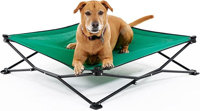 Coolaroo On-The-Go Elevated Dog Bed - Foldable Pop-Up Travel Dog Bed with Breathable, Moisture-Resistant Fabric, Carry Bag Included, Lightweight & Portable, Emerald Green, Large by Coolaroo