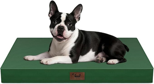 Orthopedic Waterproof Dog Bed for Small Dogs and Cats | Egg Crate Foam for Joint Support, Fits 30x19 Crates, TPU Waterproof Layer, Machine Washable 1680D Oxford Cover, Up to 30 lbs by TailStories