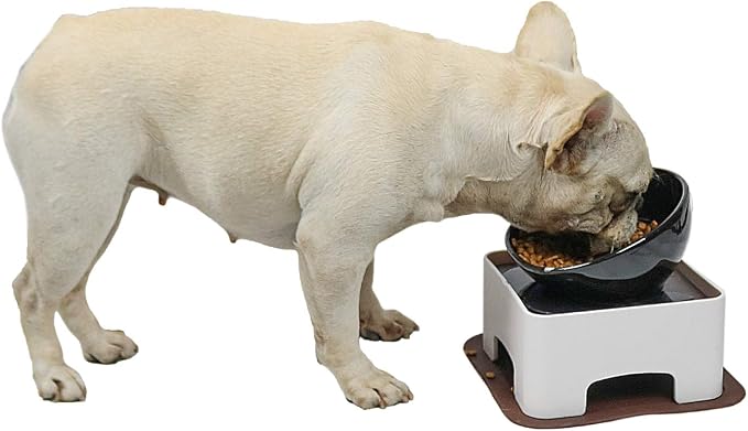 Raised Tilted Dog Feeding Bowl,Elevated Ceramic Dog Bowls Set Anti-Slip,Standing Pet Feeding Dish for Small Medium Dogs and Cats,Black by WZPET