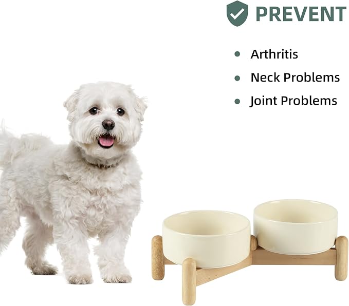 Havniva Elevated Dog Bowls Ceramic Dog Bowls with Stand, Dog Food Bowl | 5.1” Raised Dog Bowls with Non-Slip Wood Stand, Dog Food and Water Bowl Set, Double Dog Feeding Bowls for Small Dogs - Image 5