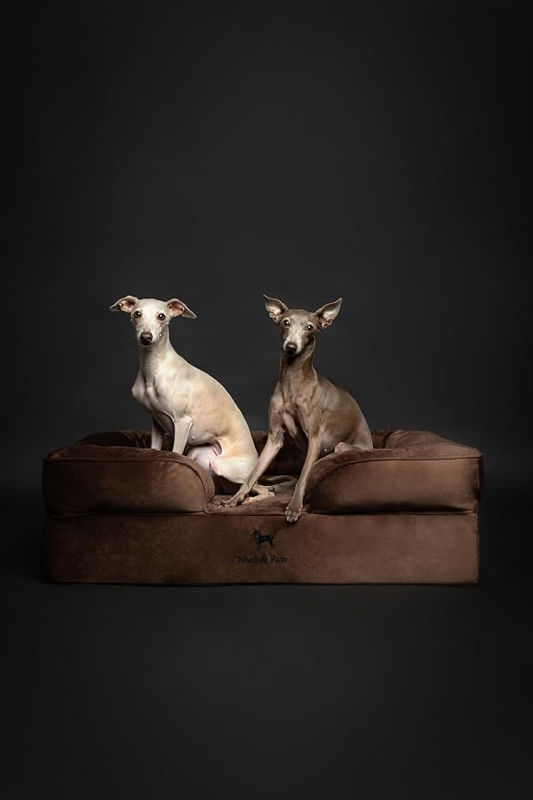 NOAH & PAW Large Dog Bed, 35x25x11 Inch, Orthopedic Dog Beds, Eggshell Memory Foam Infused with Cooling Gel, Inner Cover, Water Resistant, Machine Washable (Velvet Sofa Collection) - Image 8