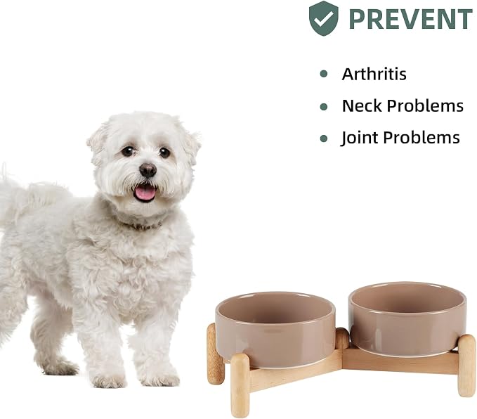 Havniva Elevated Dog Bowls Ceramic Dog Bowls with Stand, Dog Food Bowl | 5.1” Raised Dog Bowls with Non-Slip Wood Stand, Dog Food and Water Bowl Set, Double Dog Feeding Bowls for Small Dogs - Image 5