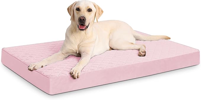 NUPIDA Orthopedic Dog Beds Large Sized Dog Waterproof Pet Kennel Pad with Removable Washable Cover and Non-Slip Bottom, 35x23 Inch, Pink by NUPIDAPet%E2%80%99sHome