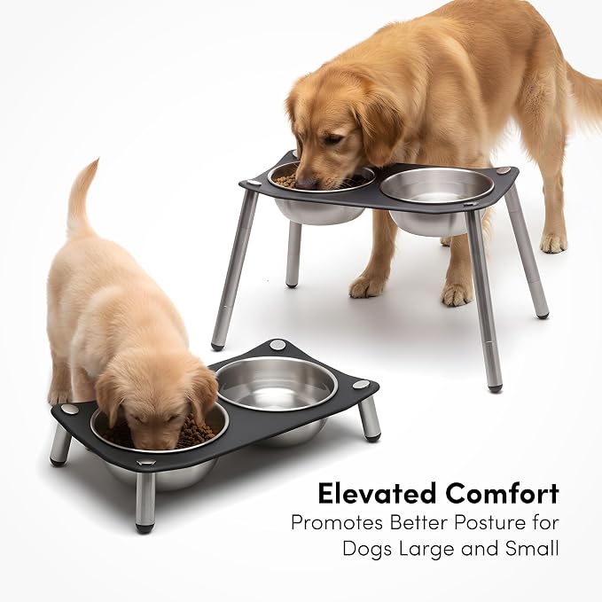 xympo Adjustable Elevated Dog Bowl 56 fl oz Stainless Steel Bowls - Image 2
