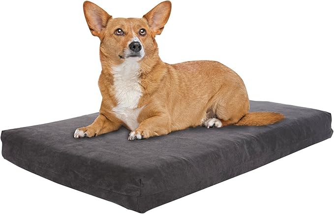 Pet Support Systems Orthopedic Dog Bed - Gel Memory Foam Pet Bed, Luxury Washable Dog Bed for Sleeping and Support (Removable Cover, Medium Gray Dog Bed) by BackSupportSystems