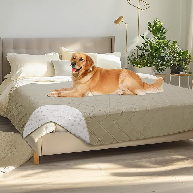 Luciphia Waterproof Couch Cover for Dogs, Non-Slip Pet Sofa Protector | Non-slip waterproof couch cover scratch-resistant machine washable protects sofa bed from spills fur, Taupe White, 68" x 82" by luciphia