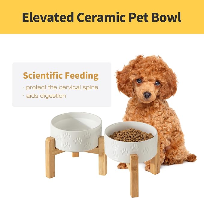 Elevated Ceramic Dog Bowl Set, Anti-Skid Bamboo Stand, White, 6.1 inch | Food and Water Bowls with Fixed Non-Slip Rubber Ring, Microwave Safe, Easy to Clean, 3.5 Cup per Bowl, for Small Breed Dogs - Image 2