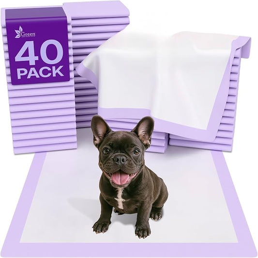 GREEN LIFESTYLE Pee Pads - Super Absorbent & Leak-Proof Pee Pads for Dogs - Puppy Pads - Waterproof Dog Pads, Dog Training Pads for Cats, Rabbits (Pack of 40 - 22x22) by GreenLifeStyle