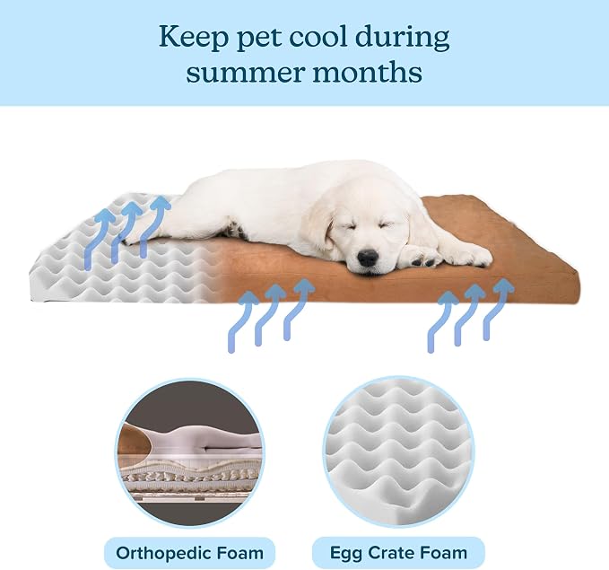 Petmaker Water-Resistant Dog Bed - Orthopedic Dog Bed with Removable Washable Cover, Non-Slip Bottom, and Egg Crate Style Foam - 44in Large Pet Mattress- Puppy Essentials (Clay) - Image 3