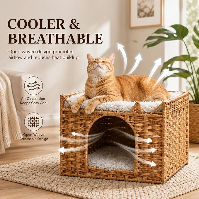Cat Bed with Ears - Handwoven Rattan Cat Cave House for Indoor Kittens, Foldable Hideaway with 2 Removable Cushions, 16.5x16.5x13.2 Inch Natural Pet Cube for Living Room/Bedroom Natural - Image 3