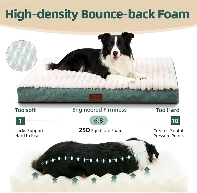 Orthopedic Dog Bed for Large Dogs, Firm Egg Crate Foam, Non-Slip Bottom | Machine Washable Cover, Plush Faux Rabbit Fur Top, Pet Beds for Crate, Floor & Car, Up to 50 lbs, Green, 35"L x 22"W x 3"H - Image 2
