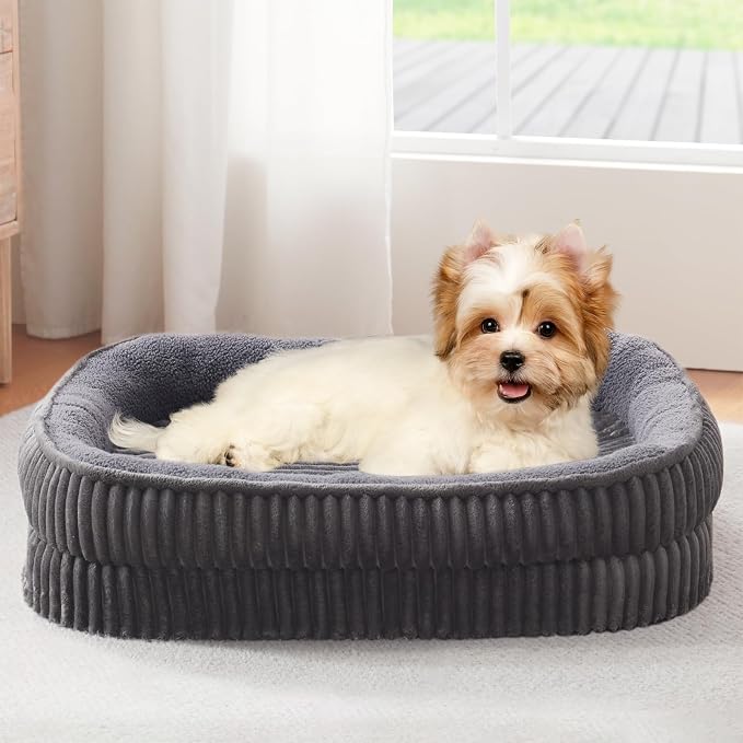 Orthopedic Dog Bed for Small Dogs Breeds, High Density Egg Crate Foam Dog Sofa Beds,Oval Kennel Bed, Pet Couch Bed with Four Sided Bolster, Removable Washable Cover& Non-Slip Bottom by DEBANGHOME