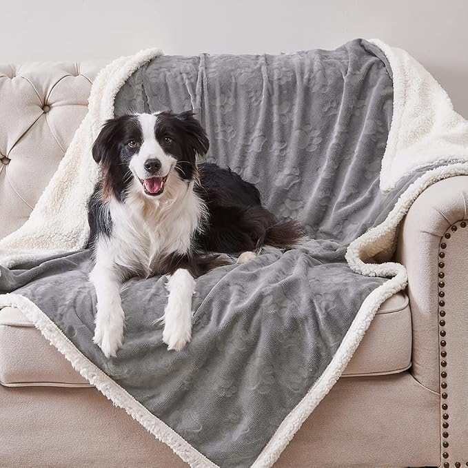 Qeils Waterproof Blanket for Bed, Dog Blankets for Large Dogs, Waterproof Cat Blanket Washable, Soft Sherpa Fleece Puppy Blanket, Reversible Throw Protector for Couch Car, 50"X60", Grey by Qeils
