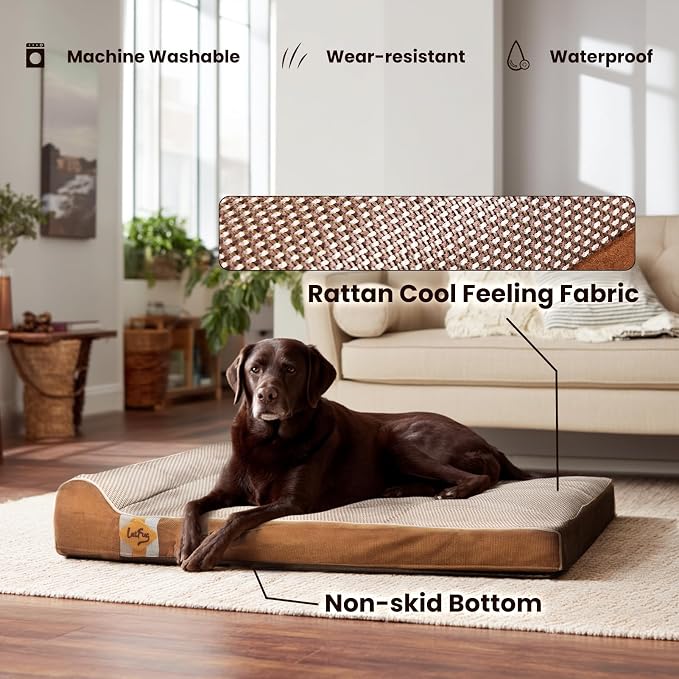 Laifug Orthopedic Dog Beds for Large Dogs,3" Memory Foam Dog Beds,Durable Water Proof Liner Removable and Washable, Nonskid Bottom, Brown 40"x25"x5.5" - Image 2