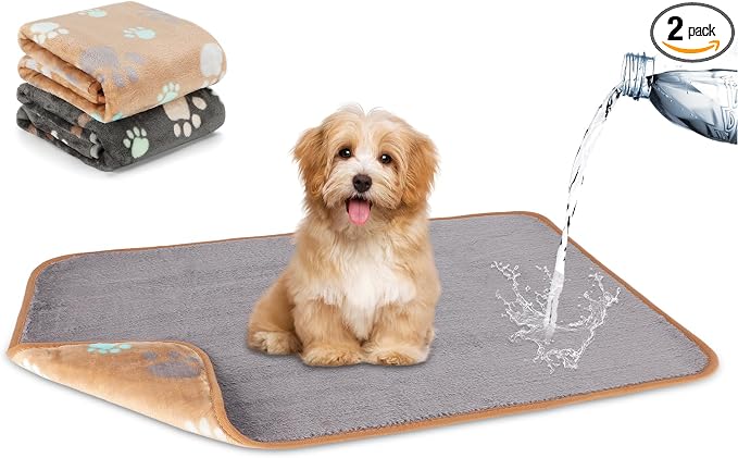 YUEPET 2 Pack Waterproof Dog Blankets, Puppy Blankets for Small Dogs & Cats | Waterproof Inner Layer, Bed Couch Sofa Protector, Soft Reversible Fleece, 30x20", Machine Washable, Gray Coffee by YUEPET