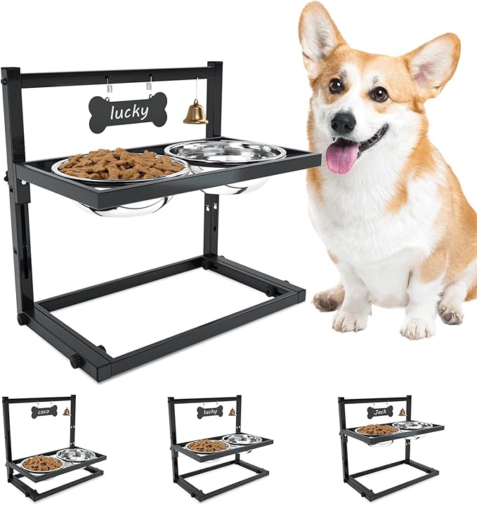 SHAINFUN Elevated Dog Bowls for Medium Dogs and Cats - Raised Cat or Dog Bowl Stand with Adjustable Height and Two Stainless Steel Food Bowls - Ideal for Medium and Small Dogs and Cats by SHAINFUN