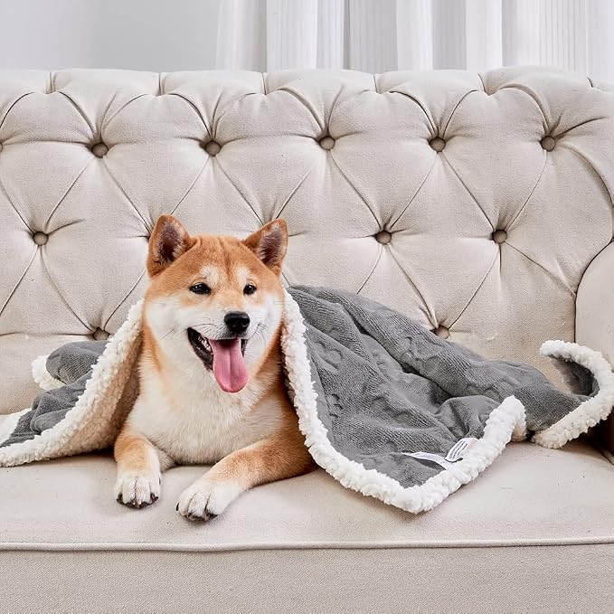 Qeils Dog Blankets for Small Dogs - Waterproof Cat Blanket Washable - Sherpa Fleece Puppy Blanket, Soft Plush Reversible Throw Protector for Bed Couch Car Sofa, 30"X40", Grey - Image 5