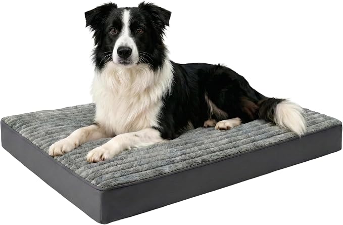 Dog Bed Large Sized Dogs, Orthopedic Flannel Pet Bed with Removable Washable Cover, Waterproof Indestructible Big Dog Bed with Anti-Slip Bottom, Egg Memory Foam Pad, 36.0"x27.0"x3.5", Grey by Unknown
