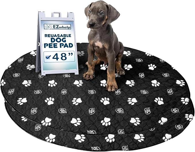 EZwhelp Pack of 2 Reusable Dog Pee Pad, Washable Slip-Resistant Waterproof Mat, 24x48 Inches by EZwhelp