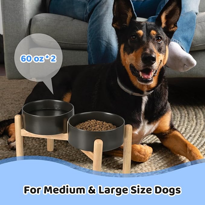 SPUNKYJUNKY Ceramics Elevated Dog Bowls with Wooden Stand Raised Dog Bowl for Medium Large Dog Food and Water Pet Feeding Bowl(Double 60OZ Bowls,Black) - Image 7