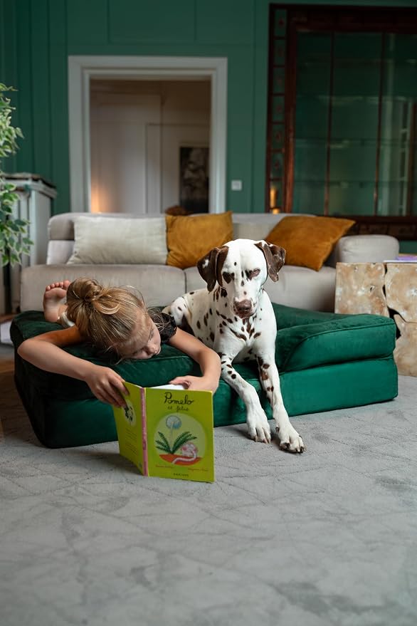 NOAH & PAW XL Dog Bed, 45x35x11 Inch, Orthopedic Large Dog Beds, Eggshell Memory Foam Infused with Cooling Gel, Inner Cover, Water Resistant, Machine Washable (Velvet Sofa Collection) - Image 3