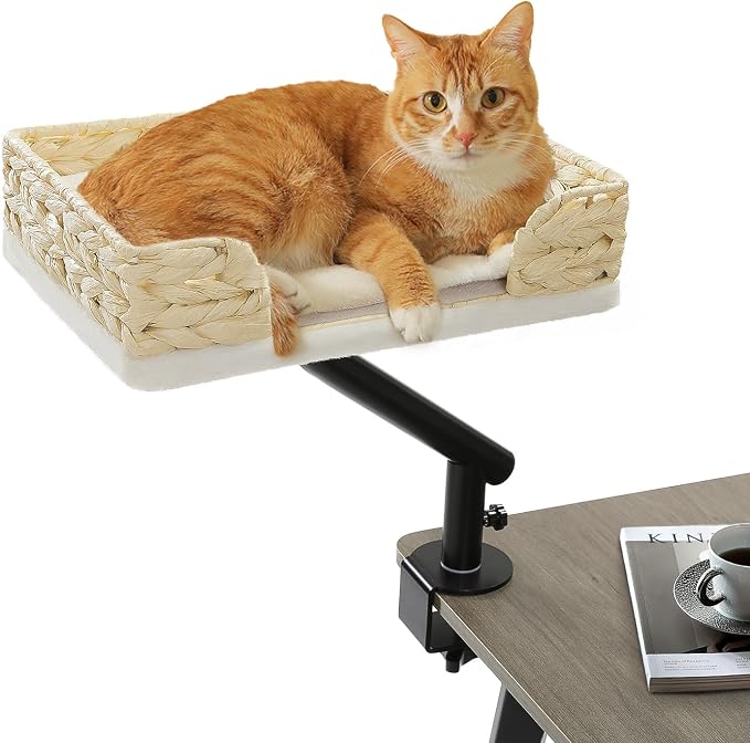PAWZ Road Cat Desk Bed for Indoor Cats, Wicker Cat Bed for Desk Supports Up to 50 lbs, 360° Rotation & Adjustable Soft Plush Cats Hammock for Desktop, White by PAWZRoad