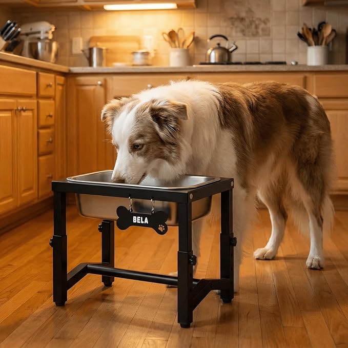 1.2 Gallon Elevated Large Dog Water Bowl, 4 Adjustable Height 7.8'',9.2'',10.6'',12''Raised Stainless Steel Bowl Stand for Small/Medium/Large Breed, Metal Dog Feeding Station for Relief Joint Pressure - Image 7