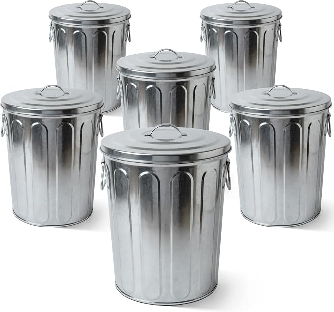 Plexon 5 Gallon Small Metal Trash Can with Lid Outdoor Galvanized Bucket with Lid 5 Gal Fireplace Ash Bucket for Wood Stove Storage Can for Dog Food Bird Seed Storage Container 6 Pack by Plexon