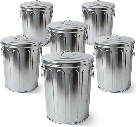 Plexon 5 Gallon Small Metal Trash Can with Lid Outdoor Galvanized Bucket with Lid 5 Gal Fireplace Ash Bucket for Wood Stove Storage Can for Dog Food Bird Seed Storage Container 6 Pack by Plexon