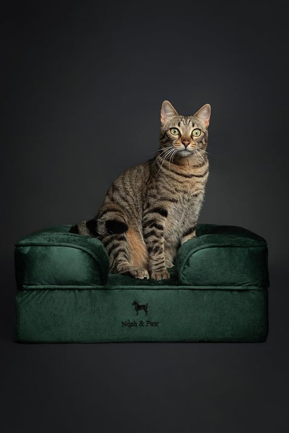 NOAH & PAW Small Dog Bed, 20x15x8 Inch, Cat Bed for Indoor Cats, Orthopedic Eggshell Memory Foam Infused with Cooling Gel, Water Resistant Inner Cover Machine Washable (Velvet Collection) - Image 6