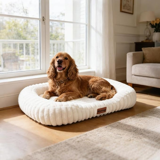 Orthopedic Dog Bed, Washable Large Dog Couch for Senior Dogs | 35L x 27W x 5.5H, Egg-Crate Foam, Low Front Entry Design, Removable Cover, Non-Slip Bottom, Dog Beds Large Sized Dog, Cream by Unknown
