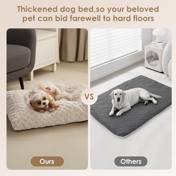 EHEYCIGA Washable Small Dog Bed for Crate 23x18 Inch, Kennel Pad for Puppy Up to 25 lbs, Plush and Comfy Pet Sleeping Mat, Beige - Image 4