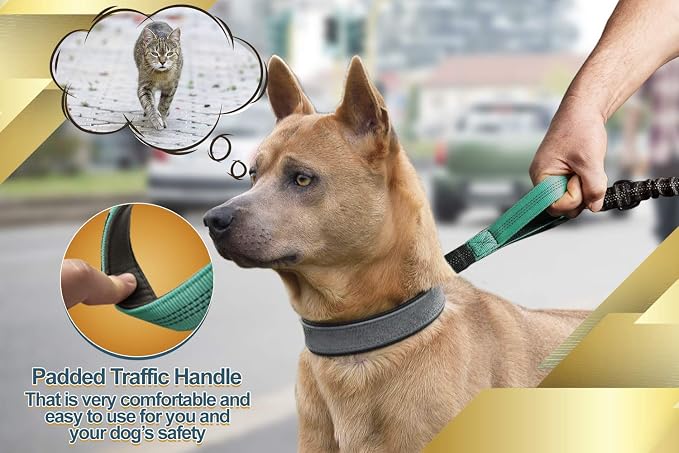 SparklyPets Hands Free Dog Leash for Medium and Large Breeds – Professional Harness with Reflective Stitches for Training, Walking, Jogging and Running Your Pet (Premium Teal, for 1 Dog) - Image 3