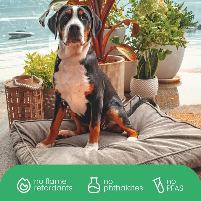 Molly Mutt Jupiter Dog Bed Duvet Cover, GOTS-Certified 100% Cotton Canvas Cover for Dog, Puppy, or Cat Bed, Durable, Washable, and Free of Harmful Chemicals, Small, 22"x27"x5", Brown - Image 6