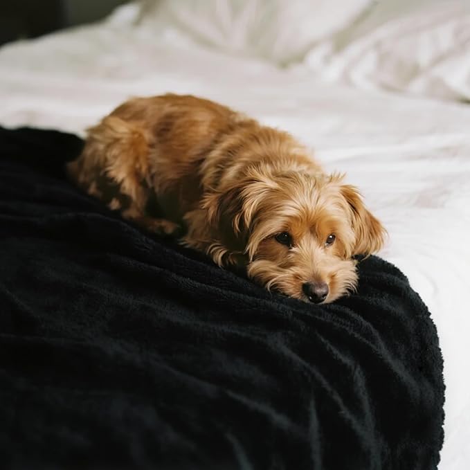 gogobunny Waterproof Bed Blanket, Reversible Sherpa Fleece Throw Blanket for Dog Puppy Cat, Furniture Cover Protects Bed Couch Sofa from Liquid Pee and Pet Fur (Black, 90x108 inches) - Image 6