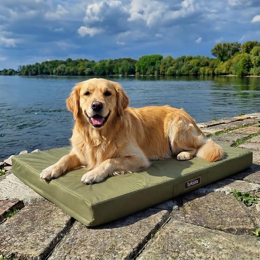 Sytopia Outdoor Dog Bed for Extra Large Dogs (90 lbs), Waterproof Orthopedic Pet Bed with Removable Washable Cover, Indoor Outdoor Dog Mat for Patio, Crate, Camping, Travel & Home, Green by Sytopia