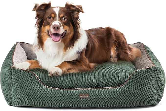 GRANDTIES Fluffy Dog Beds for Small Medium Large Dogs & Cats, Machine Washable Dog Bed, Rectangle Breathable Soft Calming Sleeping Warming Pet Beds with Waterproof & Non-Slip Bottom (XL 40", Olive) by GrandTies