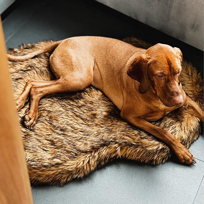 Faux Fur Orthopedic Dog Bed, Memory Foam, Brown 60"x35" | Plush Washable Dog Rug with Waterproof Machine Washable Cover, Calming for Anxious Senior Dogs, Relieves Joints - Image 5