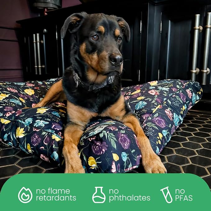 Molly Mutt Friday Morning Dog Bed Duvet Cover, GOTS-Certified 100% Organic Cotton Canvas Cover for Dog, Puppy, or Cat Bed, Durable, Washable, and Free of Harmful Chemicals, Small, 22"x27"x5" - Image 6