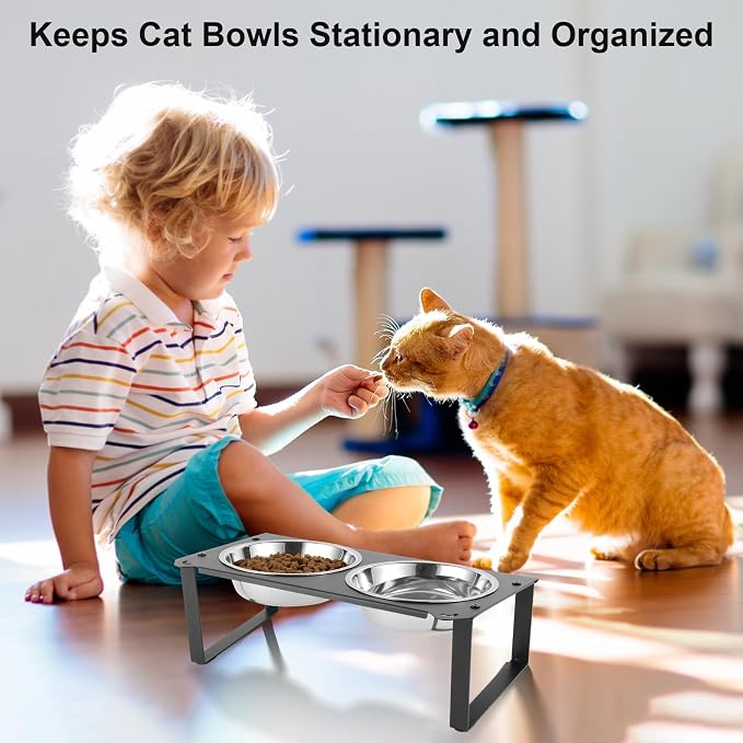 1 Set Elevated Cat Food Water Bowls, 4 Replacement Stainless Steel Bowls for Indoor Pet with Cute Metal Stand, 10° Tilted Anti-Vomiting Raised Wide Shallow Cat Dishes Whisker Friendly for Kitten,Puppy - Image 6