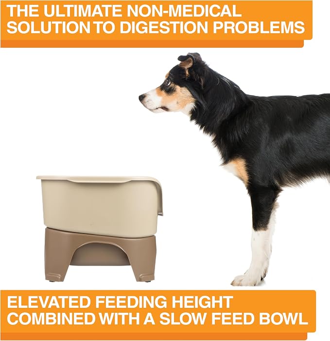 Neater Feeder - Express Model w/Slow Feed Bowl - Mess-Proof Dog Bowls (M/L, Cappuccino) Made in USA –Elevated, No Spill, Non-Tip, Non-Slip, Raised Stainless Steel Food/Water Pet Bowls Aid Digestion - Image 7