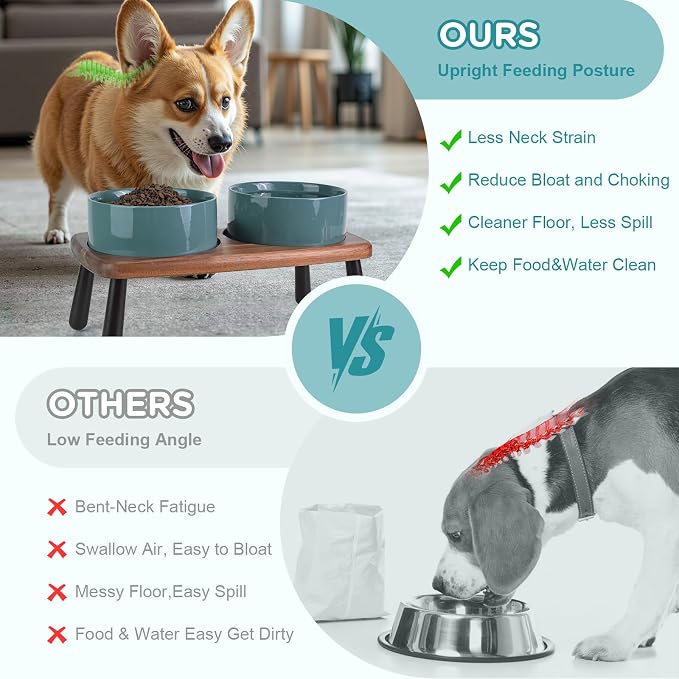 SPUNKYJUNKY Ceramic Elevated Dog Bowls Raised with Acacia Bamboo Wooden Stand, 6.1'' Dog Cat Food Water Bowls Set Non-Slip for Small Medium Sized Breed Microwave Dishwasher Safe - 28.7 OZ,Dark Green - Image 3
