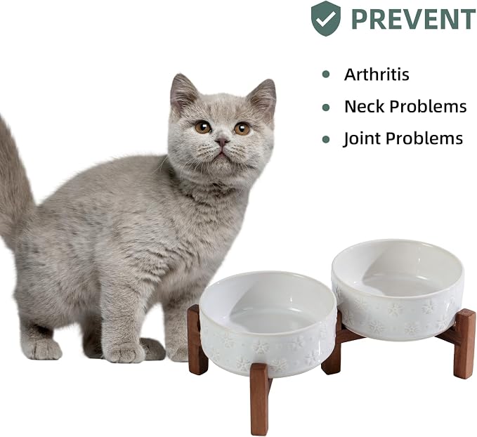 Havniva Elevated Dog Bowls, Ceramic Raised Dog Bowl with Stand | 5.1” Dog Food Bowls Elevated, Dog Food and Water Bowl Set, Non-Slip Acacia Wood Stand, Small Dogs Bowl, 1.6 Cups 13.5 oz - Image 6