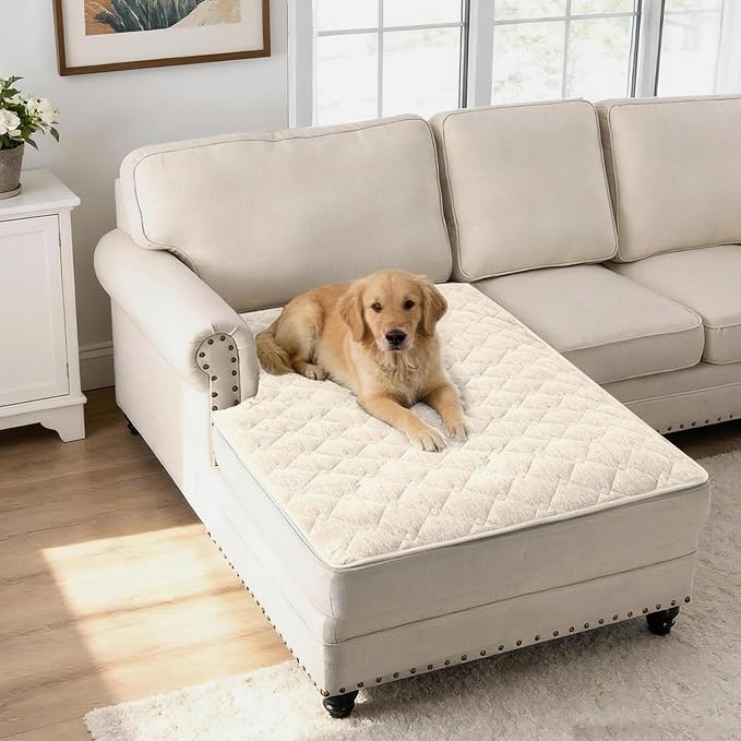 H.VERSAILTEX Couch Cover Chenille Pet Fuzzy Sofa Covers for 2 Cushion Couch and Chaise Anti Slip Washable Sofa Slipcovers Soft Couch Protector Cover for Dogs Cats Kids(40" x 50", Ivory) by HVERSAILTEX