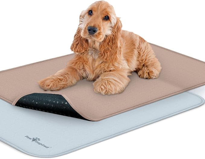 Paw Inspired Washable Crate Liners for Dogs, 47x29 Inch, 2 Pack | Fits 48 Inch Kennels, Leakproof, Non-Slip Pee Pads, Reusable Puppy Pads for Potty Training, Whelping, Waterproof Pet Mat by HOME