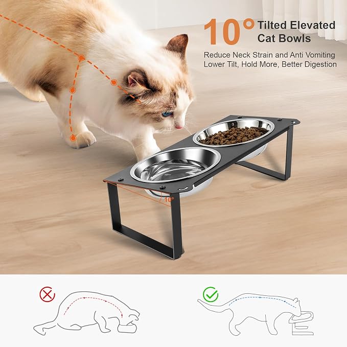 1 Set Elevated Cat Food Water Bowls, 4 Replacement Stainless Steel Bowls for Indoor Pet with Cute Metal Stand, 10° Tilted Anti-Vomiting Raised Wide Shallow Cat Dishes Whisker Friendly for Kitten,Puppy - Image 2