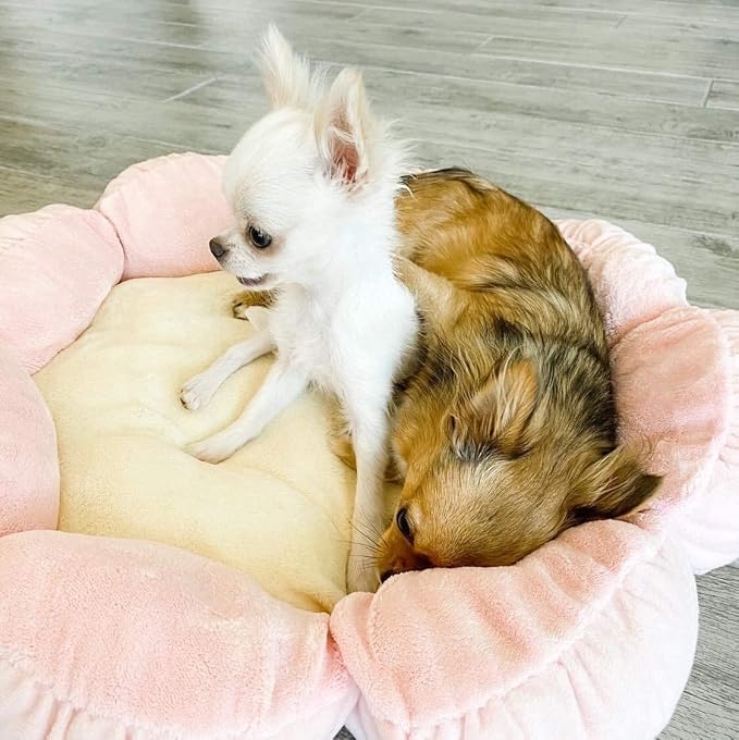 TONBO Soft Plush Small Cute and Cozy Pastel Pink Flower Dog Cat Bed, Washer and Dryer Friendly, (Pastel Pink) - Image 3