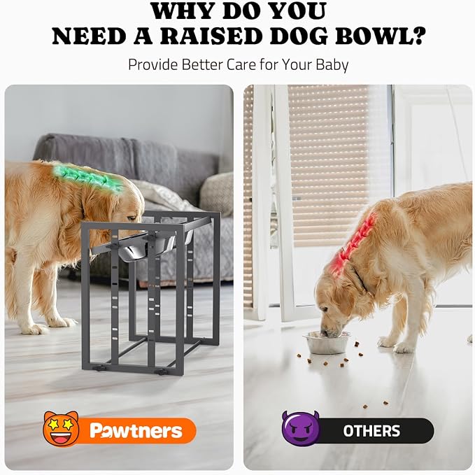 Elevated Dog Bowl for Medium Breed, 4 Height Adjustable Raised Feeder, Grey | Adjustable Height at 15°Tilted Angle, Lightweight, Nonslip, All-Iron Structure, Stainless Steel bowls, Easy Assembly Cleaning - Image 3