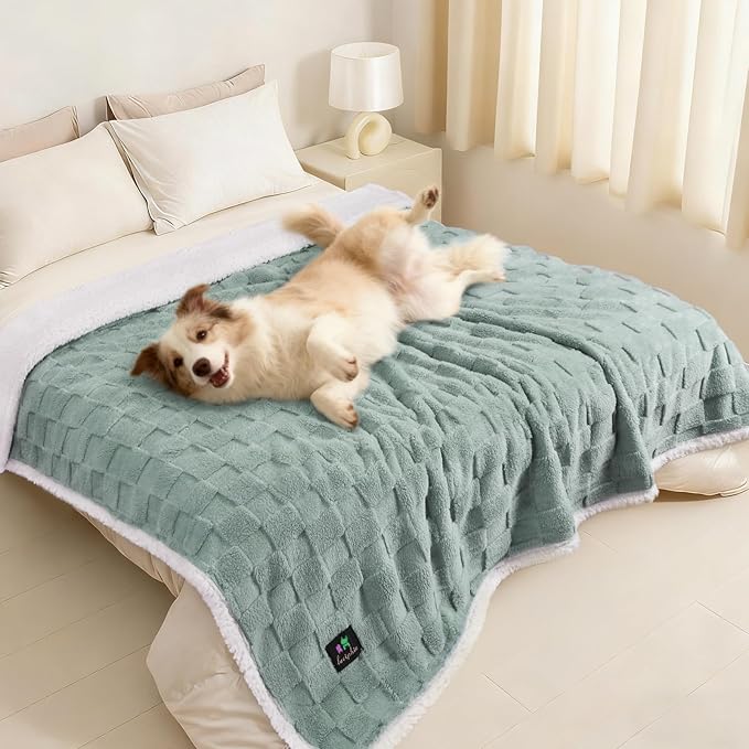 Luciphia Waterproof Dog Blanket, Reversible Fleece & Sherpa, Couch Cover | Soft plush fluffy, washable, puppy, cat, dog bed, sofa, throw, furniture protector,Green,X-Large（85" x 57"） by luciphia